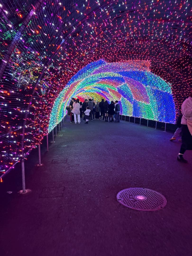 プロセカ はぴこれ 青柳冬弥 Wチャンス賞 BIGオーロラアクリルスタンド