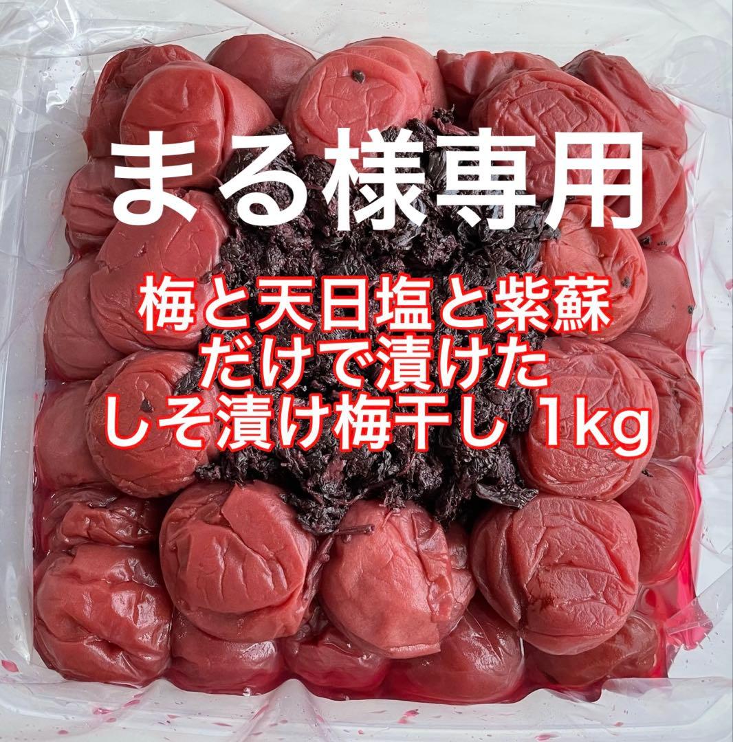 4kg 紀州南高梅 訳あり 梅と天日塩と紫蘇だけで漬けた しそ漬け梅干し