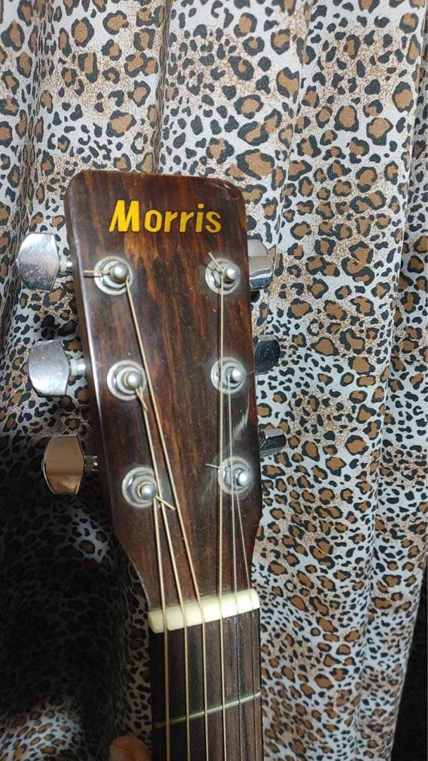 Morris モーリス アコースティックギター アコギ MD-508