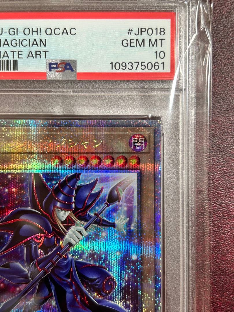 PSA10 連番 ブラックマジシャン 青眼の白龍 25th クオシク 絵違い