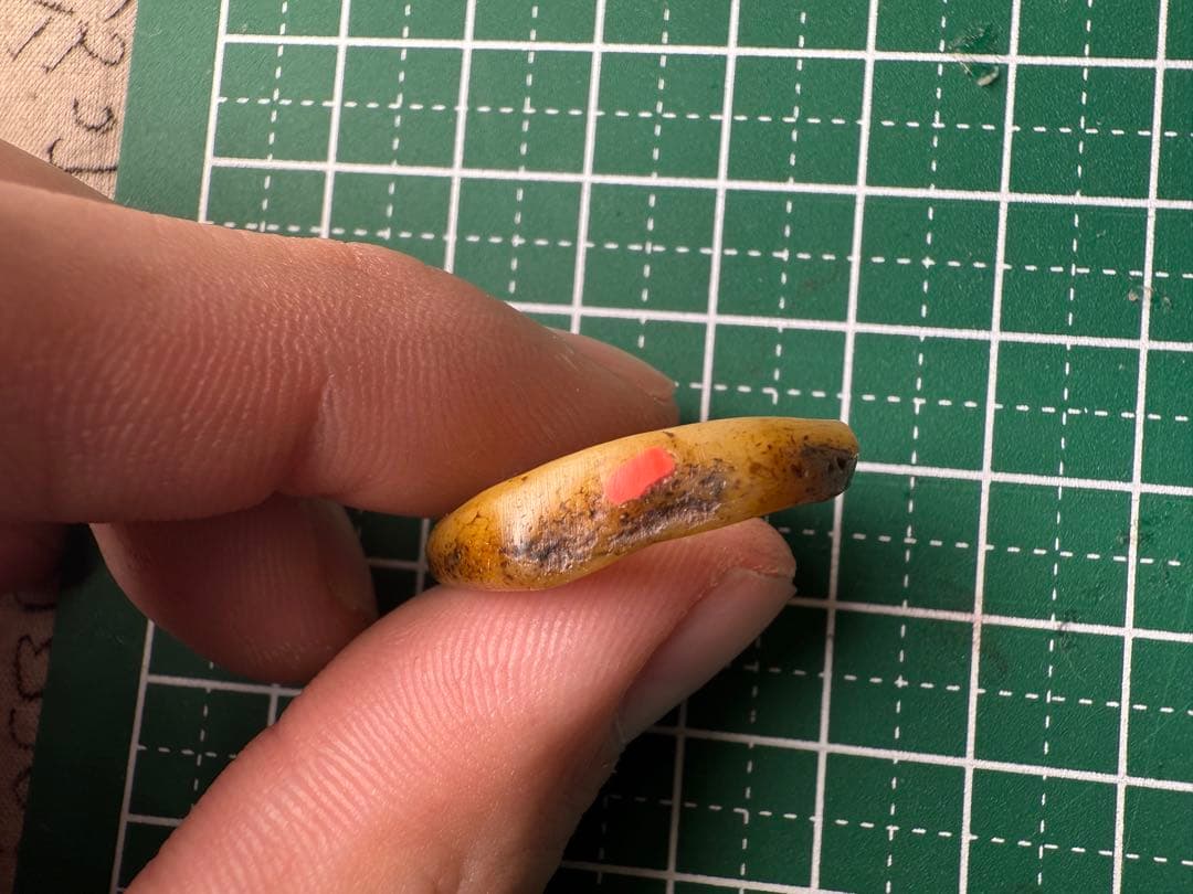 チベットアンティーク　カパーラ　骨輪　呪物　祭具