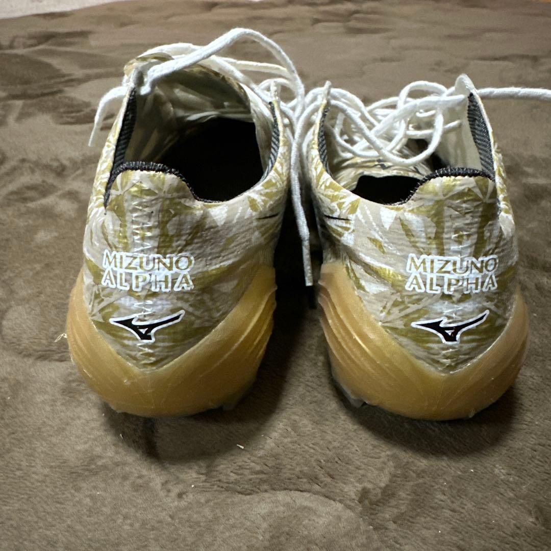 ミズノアルファJapan 25cm