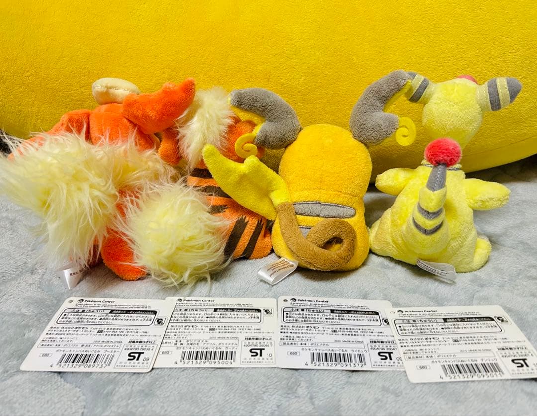 ポケモンキャンバスぬいぐるみ★ブースターガーディライチュウデンリュウ