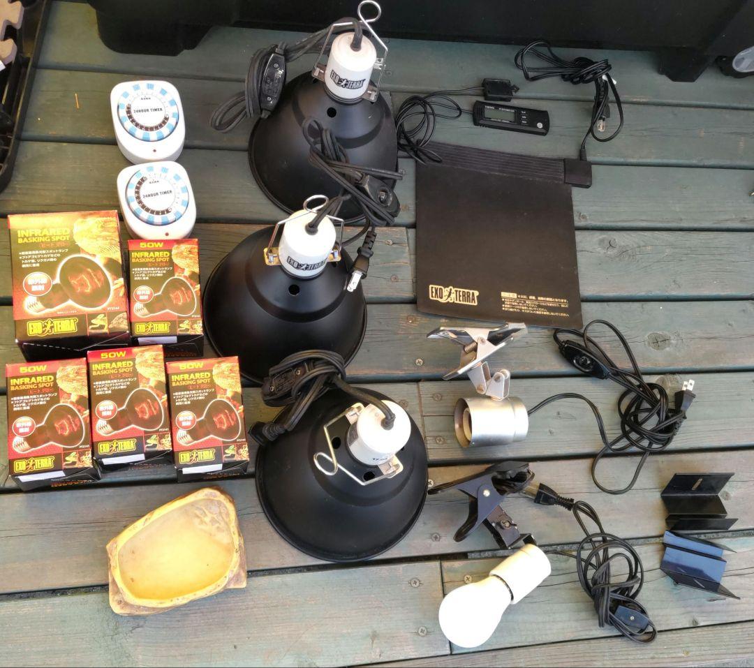 EXO TERRA 6045ゲージ&飼育セット一式