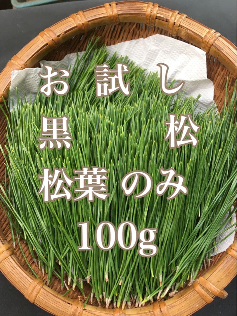 黒松　松葉　100g 生葉　松　松の葉　フレッシュ　メルカリ便