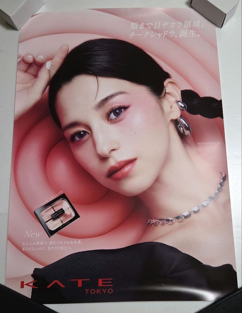 中条あやみさんケイトポスター 新品。未使用