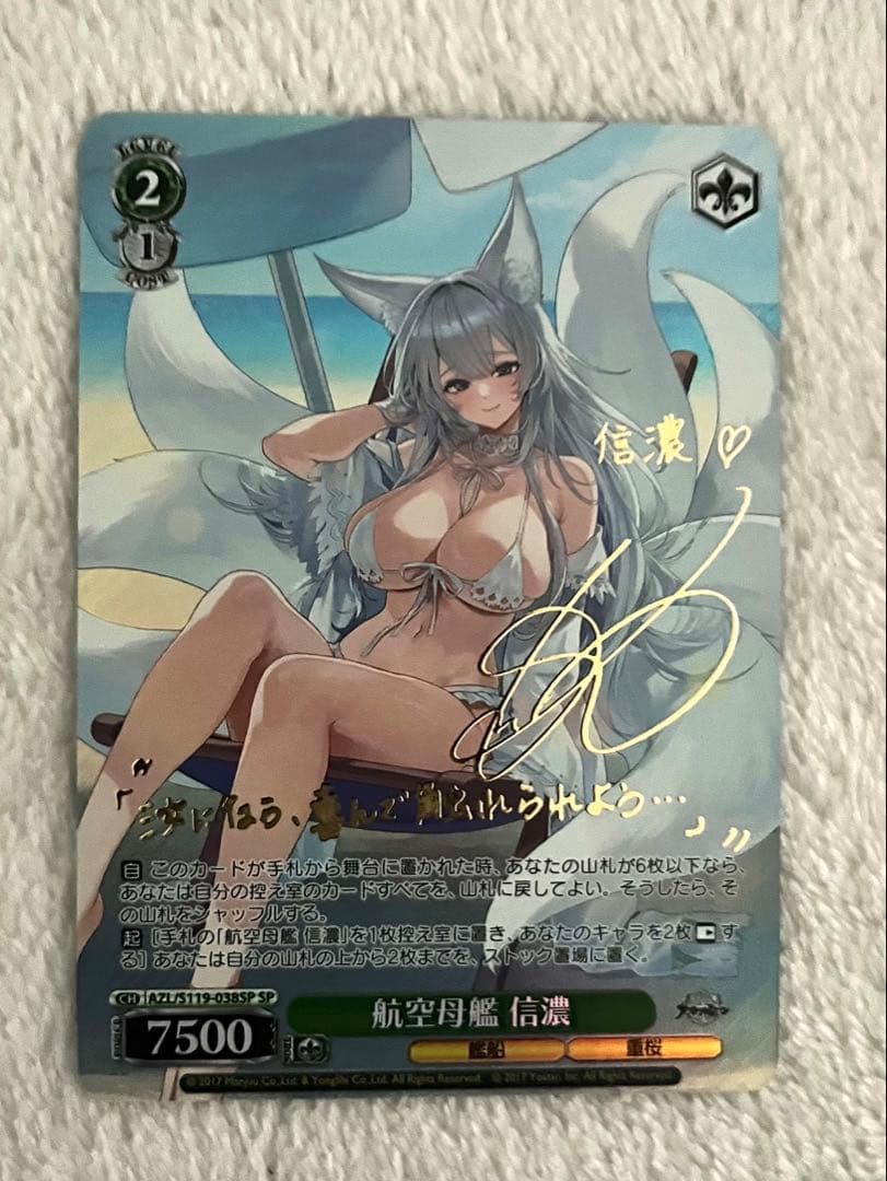 信濃　sp アズールレーンvol.2