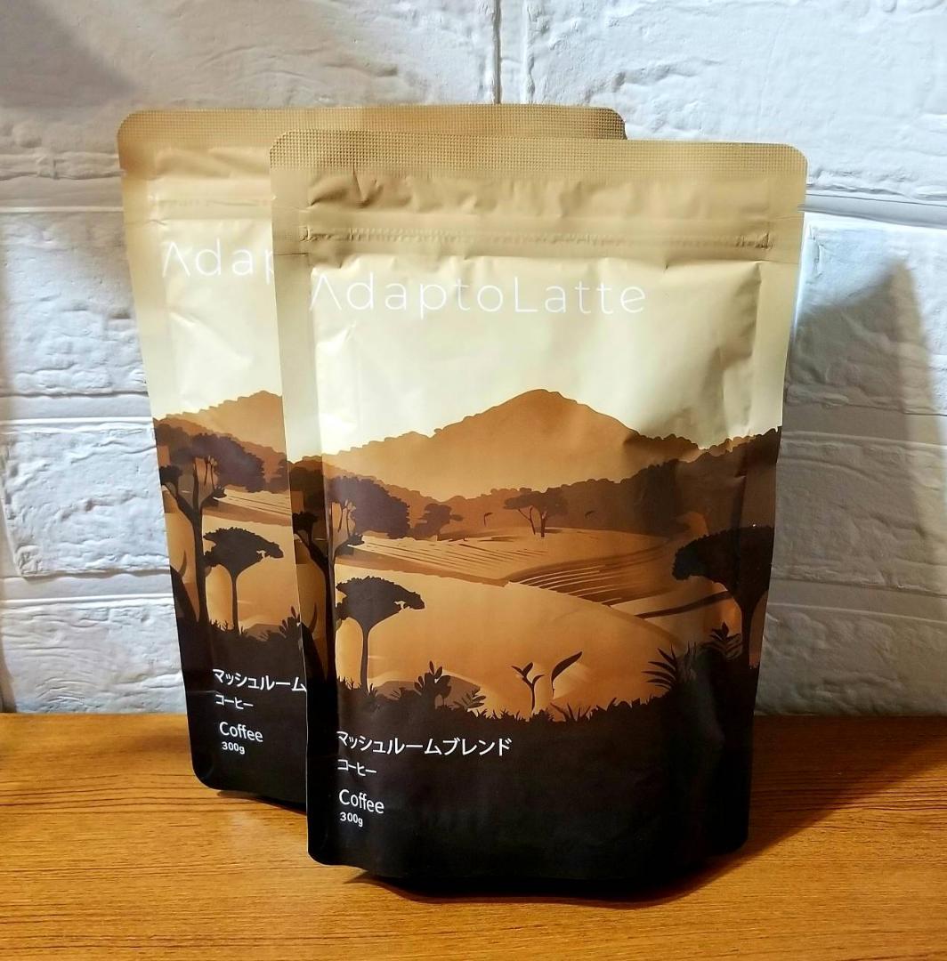 【フォロワー様かつリピーター様】専用・茶300ｇ×2≪特割特価≫