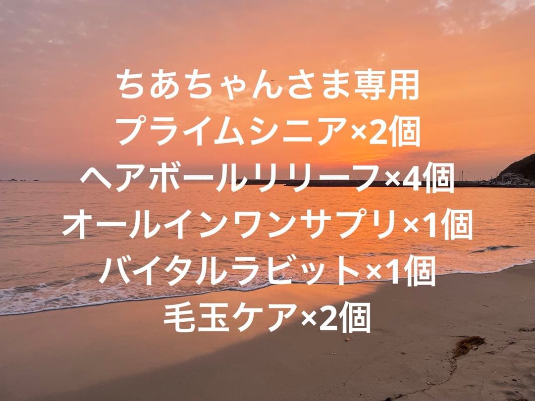 ちあちゃんさま専用