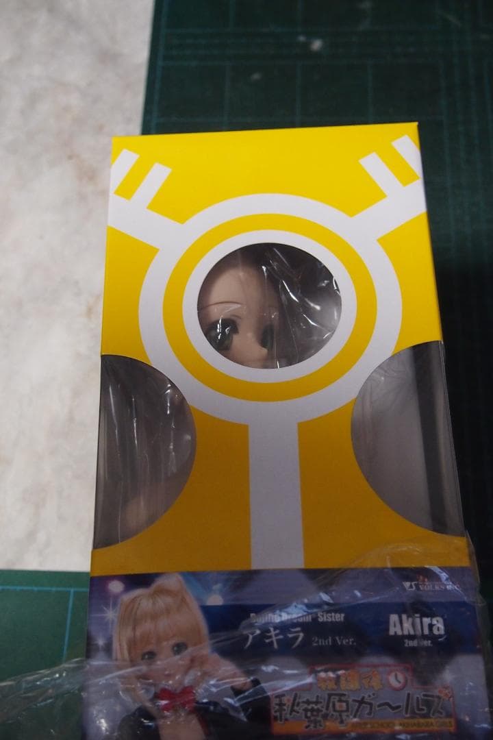 ◆DDS　アキラ 2nd Ver.　ドルフィードリーム　ドール