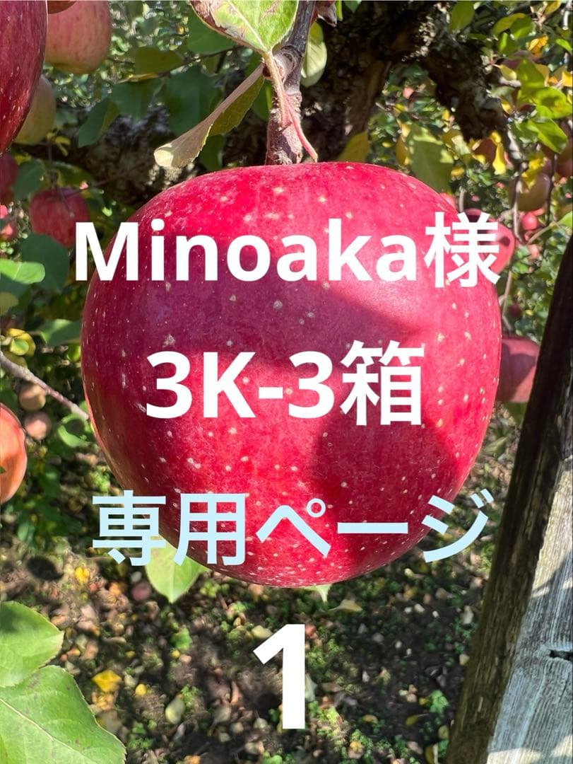 Minoaka　3K-3箱　1