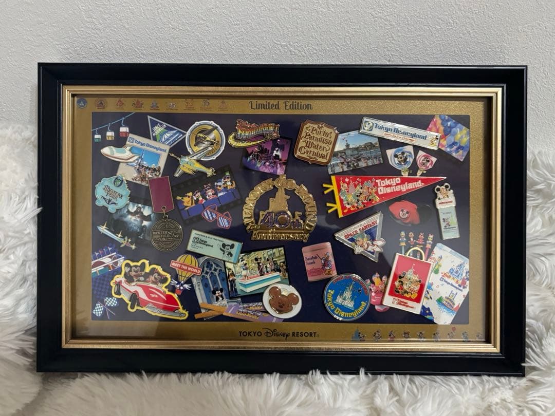 東京ディズニーランド 40周年記念 フレーム付きピンバッジセット