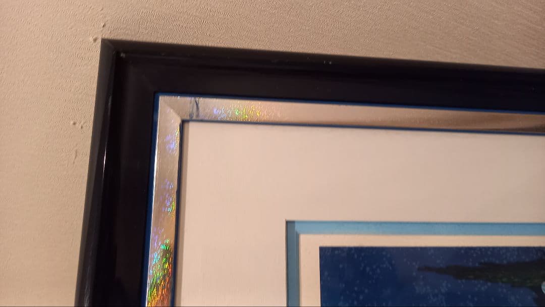 ヒロ　ヤマガタ【スター ライトコンサート 】