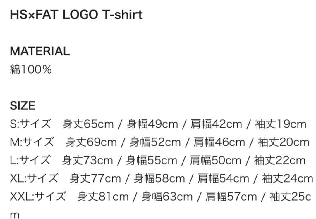 L 新品未開封　Hi-STANDARD HS×FAT LOGO T-shirt