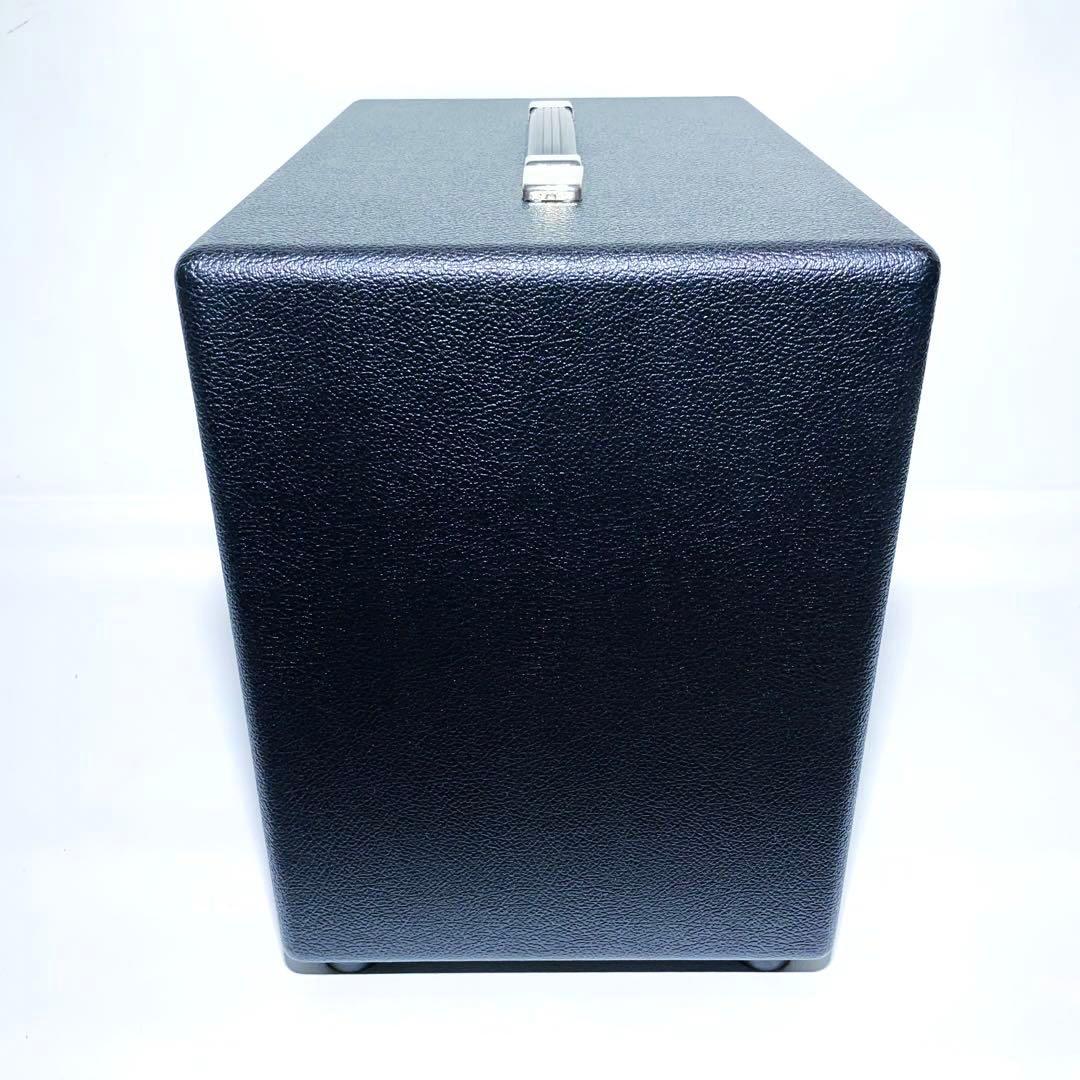 Custom Audio Amplifiers CAA112 ベースアンプ