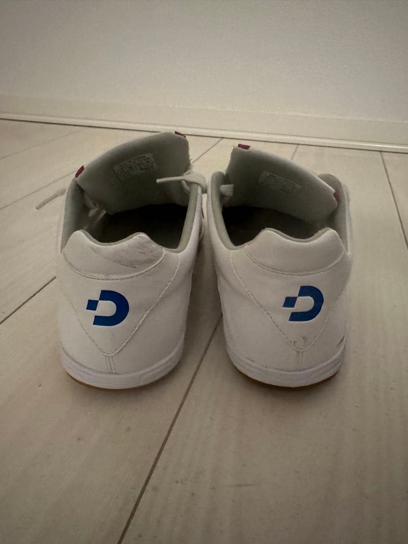 デスポルチ　テッサライトID3 25.5