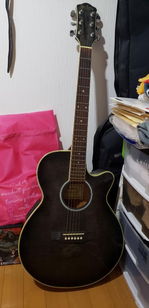Pro Martin EA500BKS エレクトリックアコースティックギター