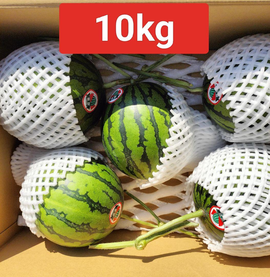 ル*キ様 高知産　約１０ｋｇ　温室栽培スイカ　５玉　秀品　北海道沖縄発送不可