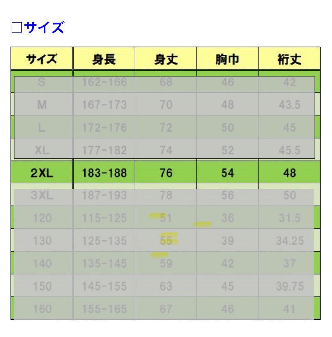 FC岐阜　２０２０オーセンティックユニフォーム　FP 2nd 2XL 新品未使用