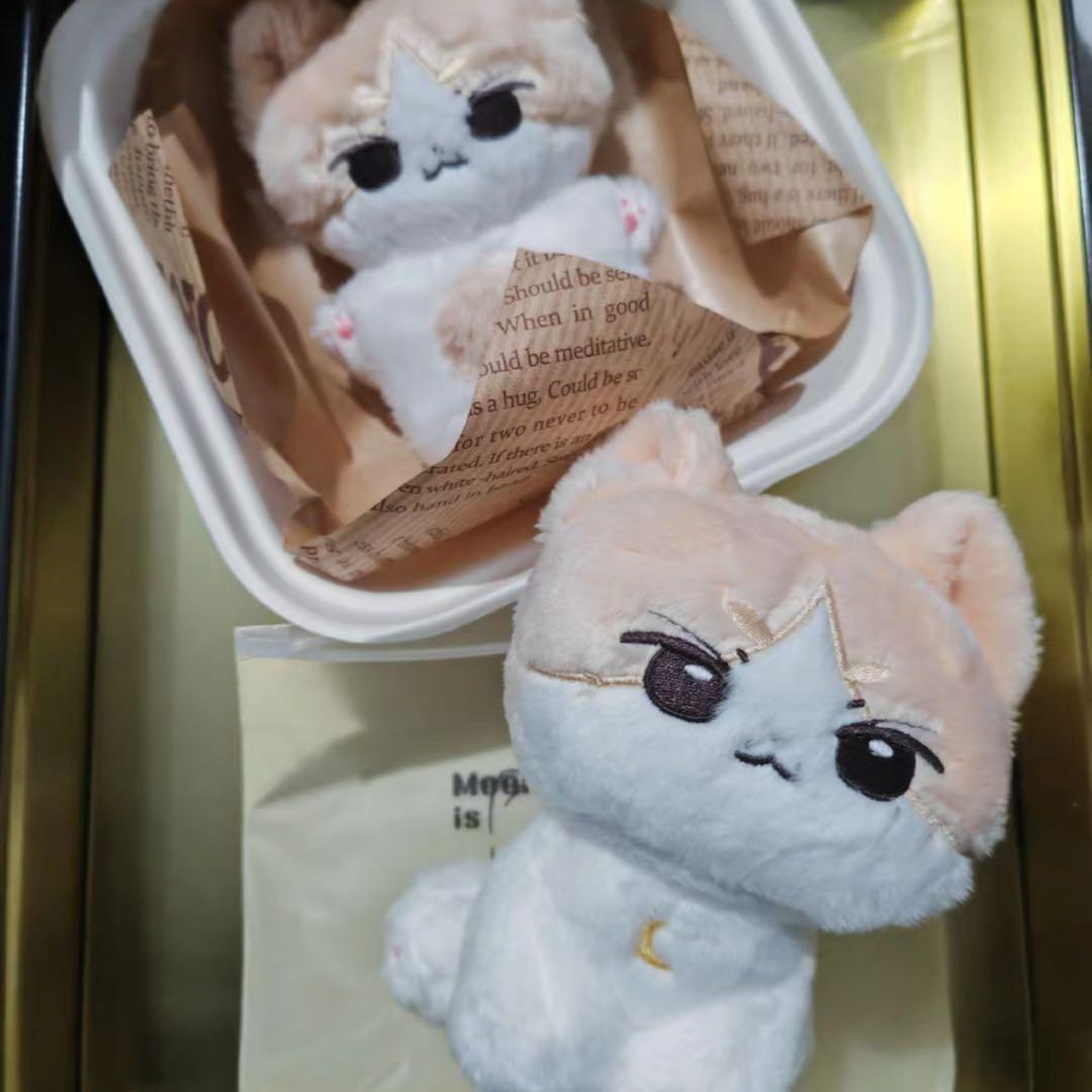 ジュン　ぬいぐるみ　10cm 新品　マスター　セブチ　svt