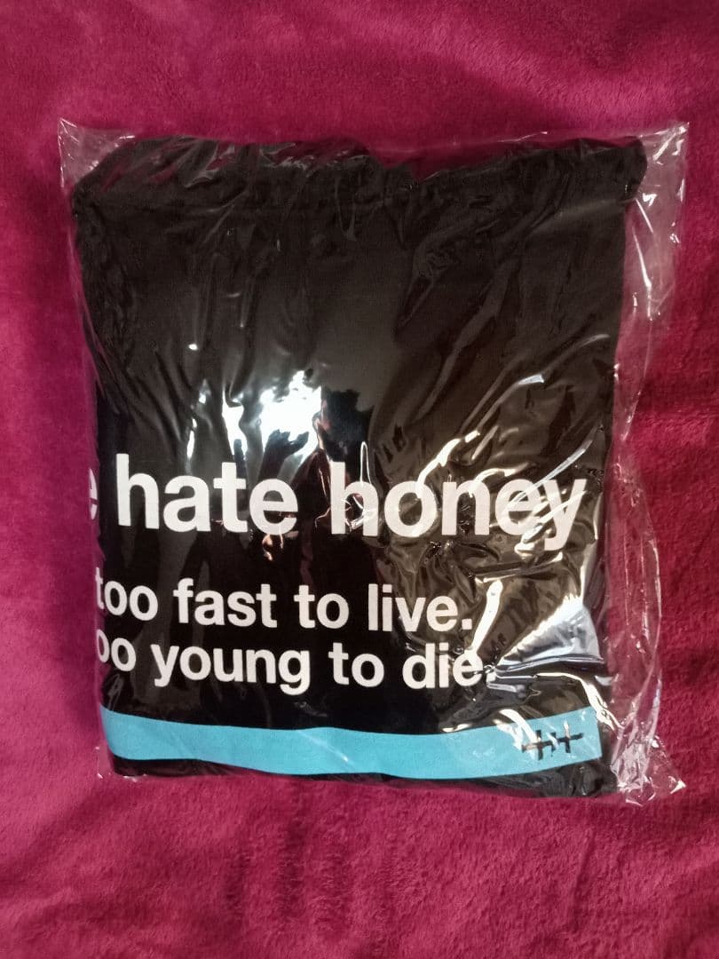 ミュージシャン THE HATE HONEY