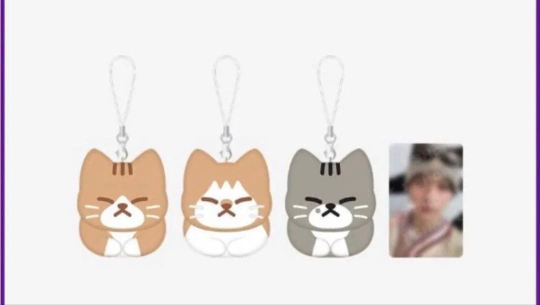 stray kids スキズ メンプロ リノ スンドゥンドリ キーリング