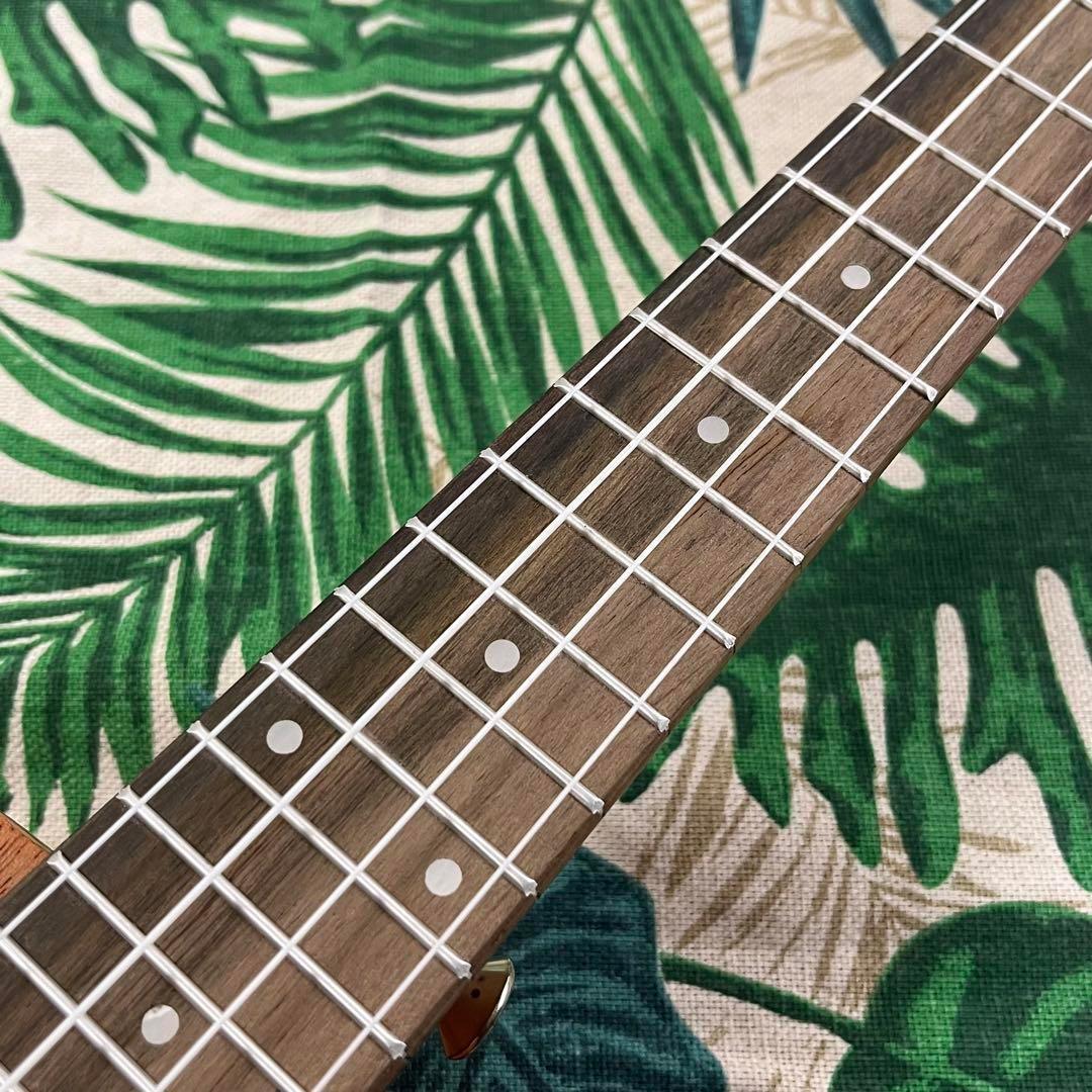 【入門セット】YAELバラ模様のコンサート・ウクレレ【ウクレレ専門店】
