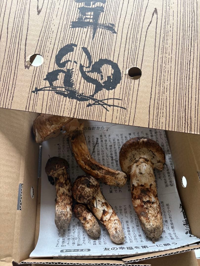 信州産松茸　若干訳あり300g