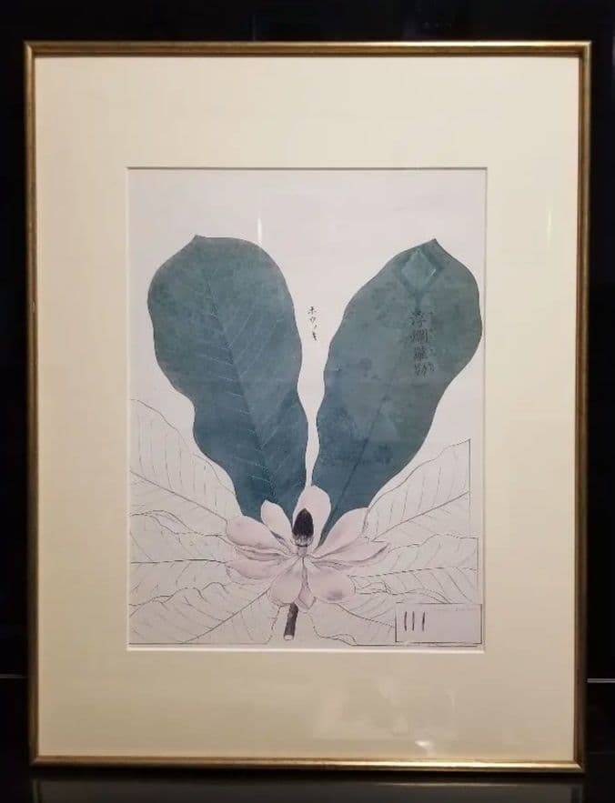 1970's　和モダン　朴の木　フランラロク　ボタニカル　シノワズリ　額装品