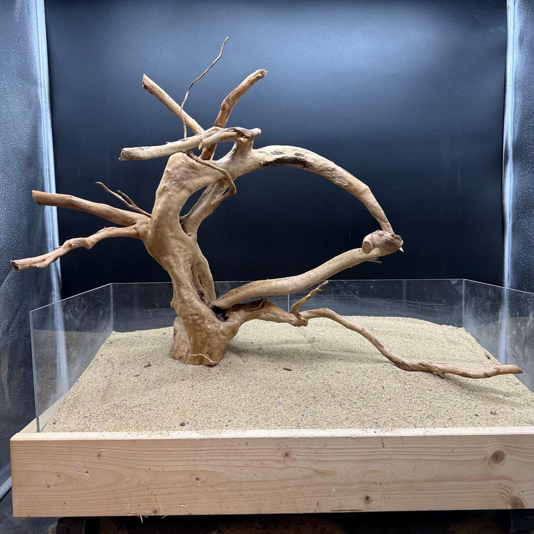 MDW-7159 特大ブランチウッド　流木　枝流木　アクアリウム