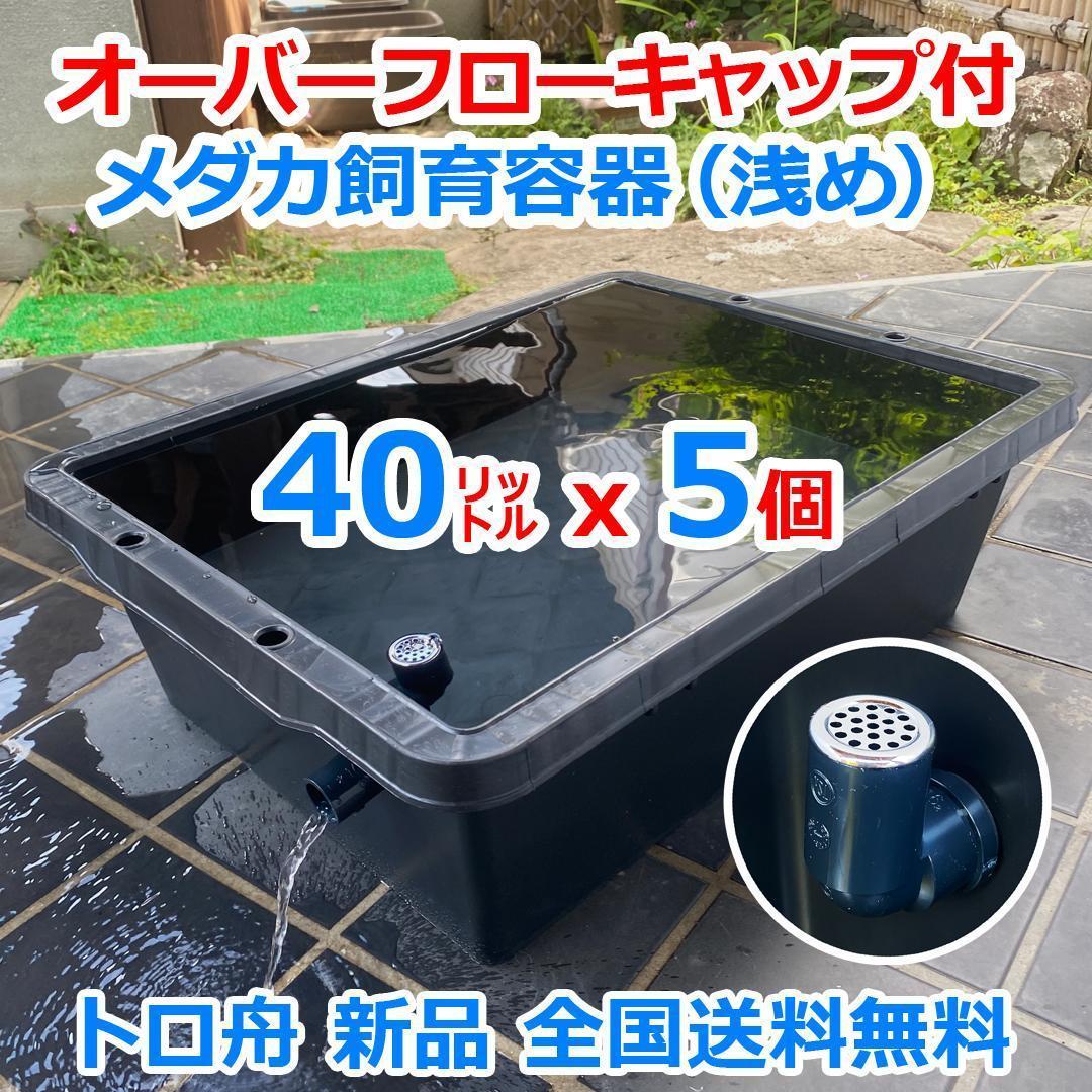 【限定特価】メダカ飼育ケース 40㍑トロ舟x5個 オーバーフロー付 金魚飼育容器