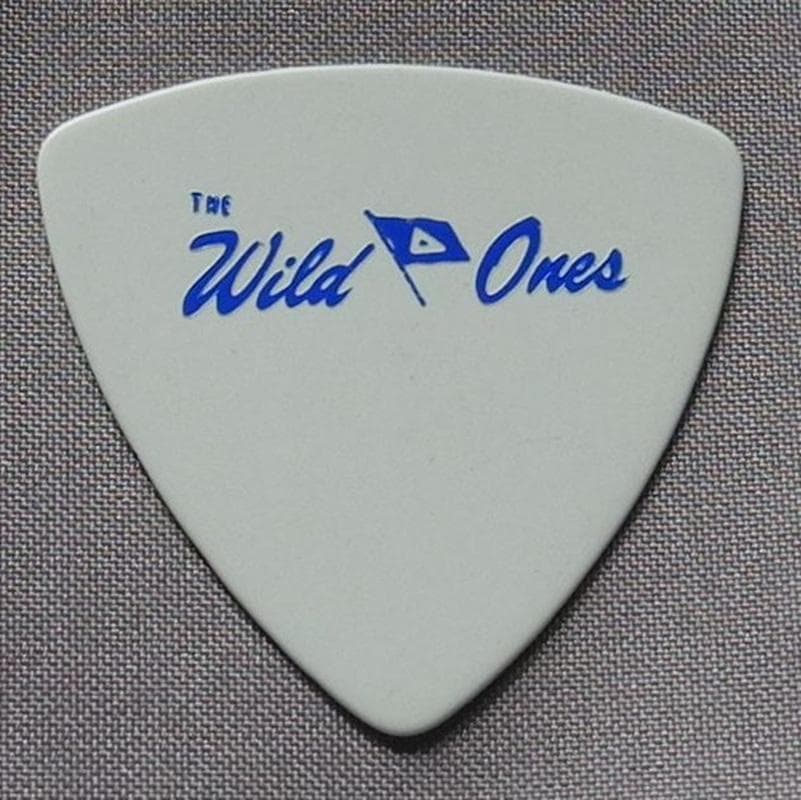 ザ・ワイルドワンズ The Wild Ones ギターピック