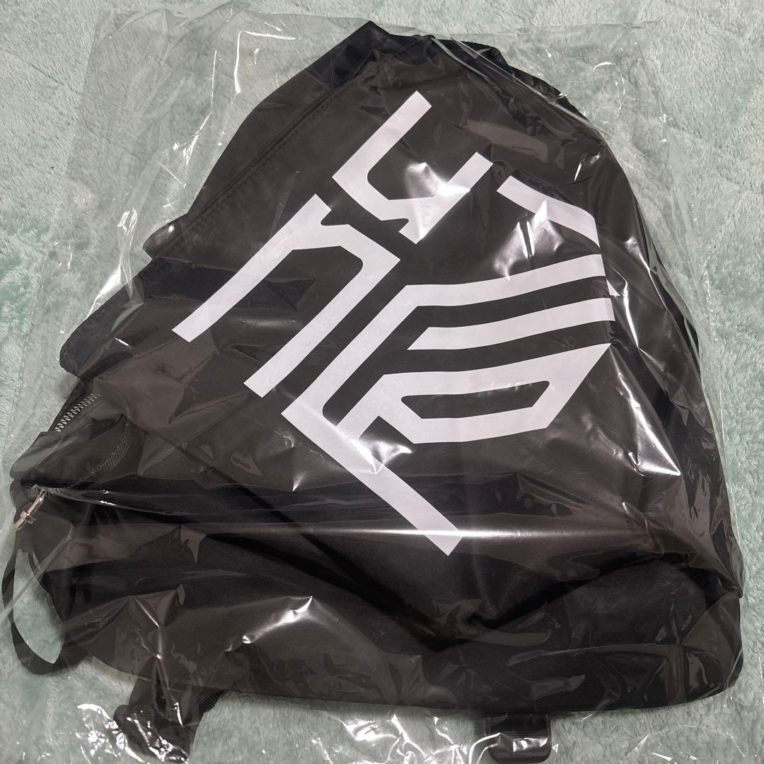 平沢進 核P-MODEL unZIP リュック