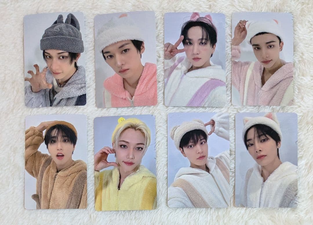 スキズ タワレコ Hollow SKZOO エコパ Stray Kids