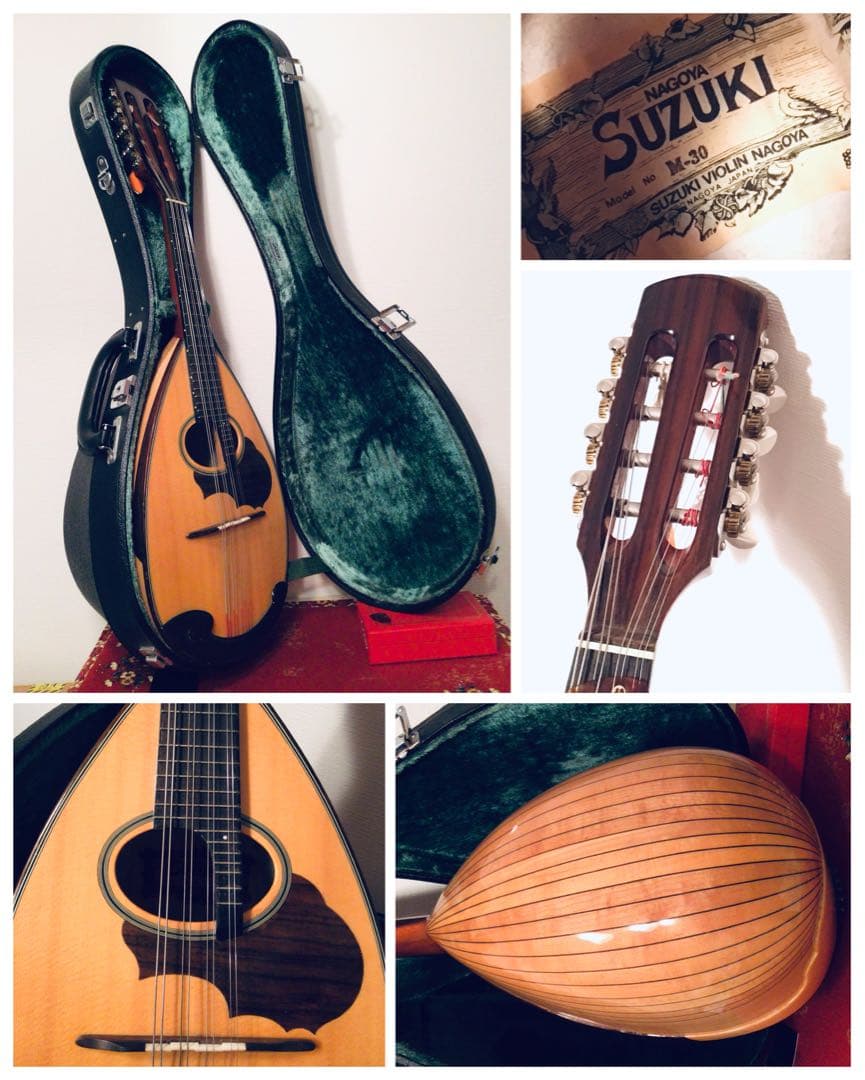 ◉鈴木バイオリン SUZUKI マンドリン M-30 ハードケース スズキ◉美品