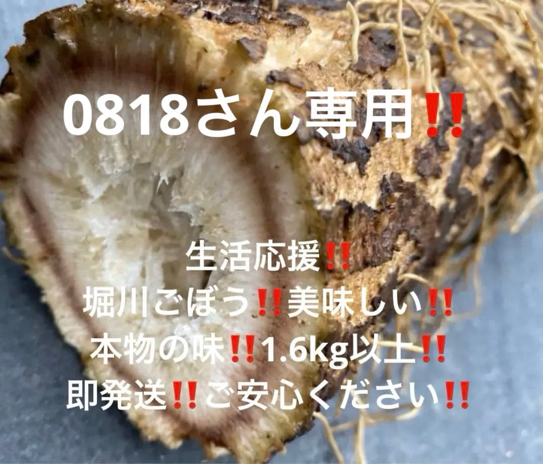生活応援‼️堀川ごぼう‼️すごく美味しい‼️