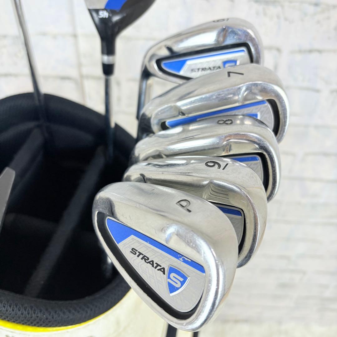 Callaway BIG BERTHA メンズクラブセット レフティ 左利き