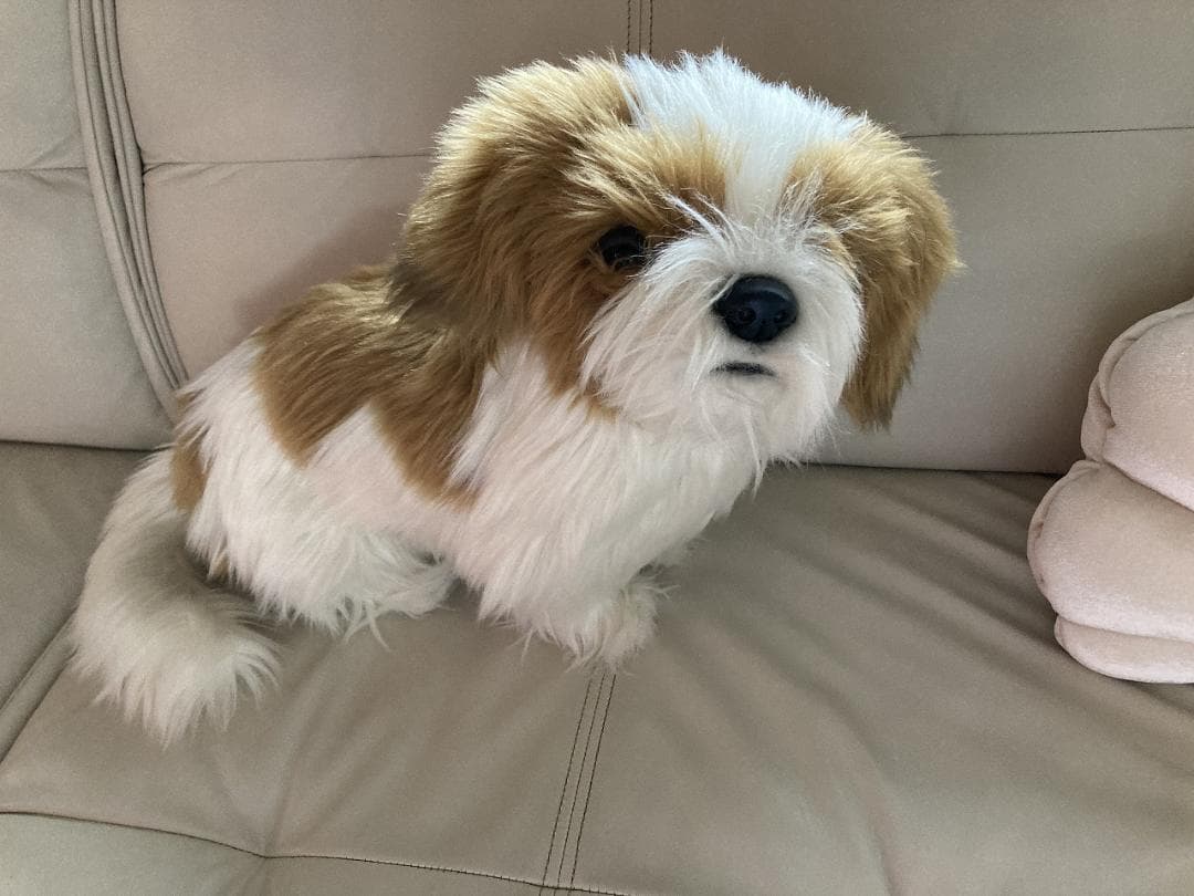 売約済み　HANSA　シーズー　ティディベア２点セット