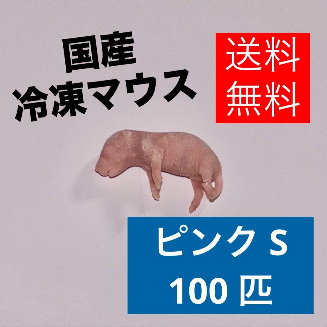 冷凍マウス ピンクS 100 ホッパー50 アダルトL50 送料込み　砂糖