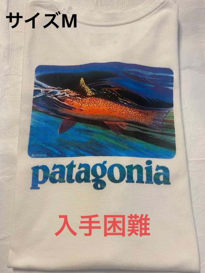 入手困難【Patagonia】World Trout Slurp Tee