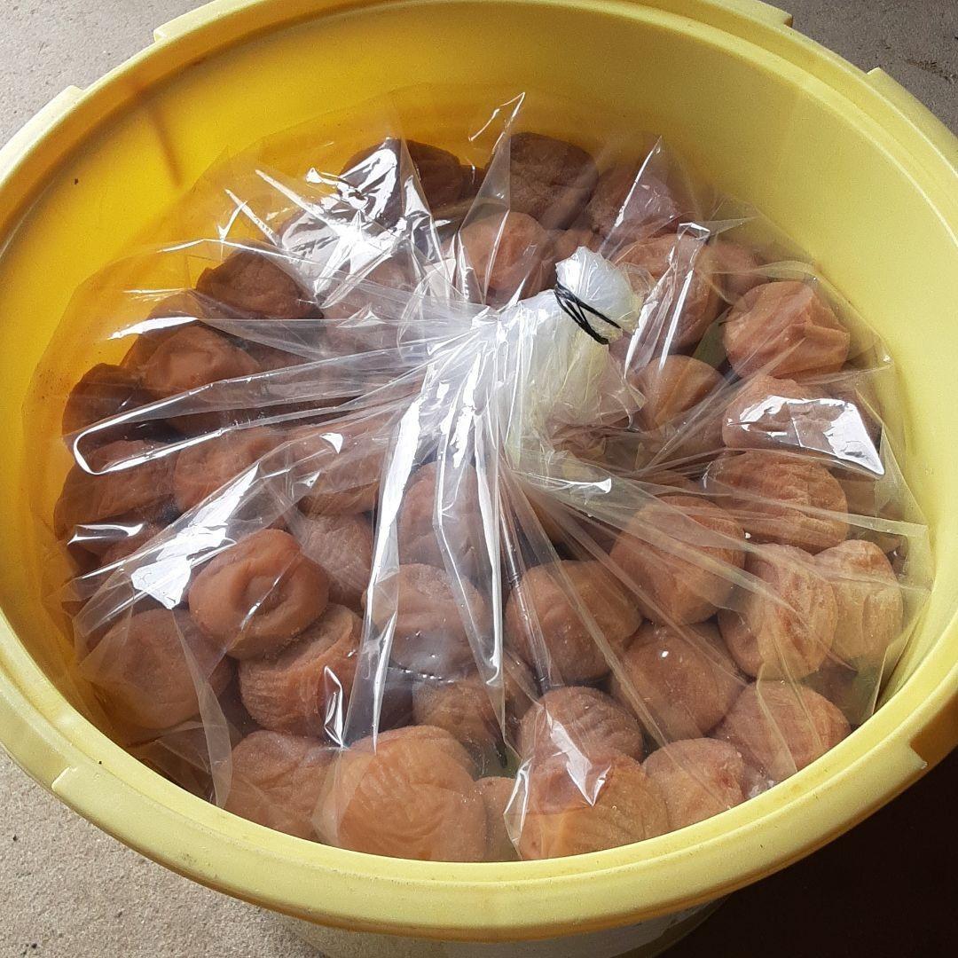 コロコロジョン　10kg