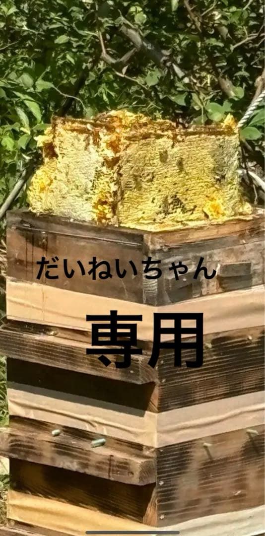 日本ミツバチのはちみつ