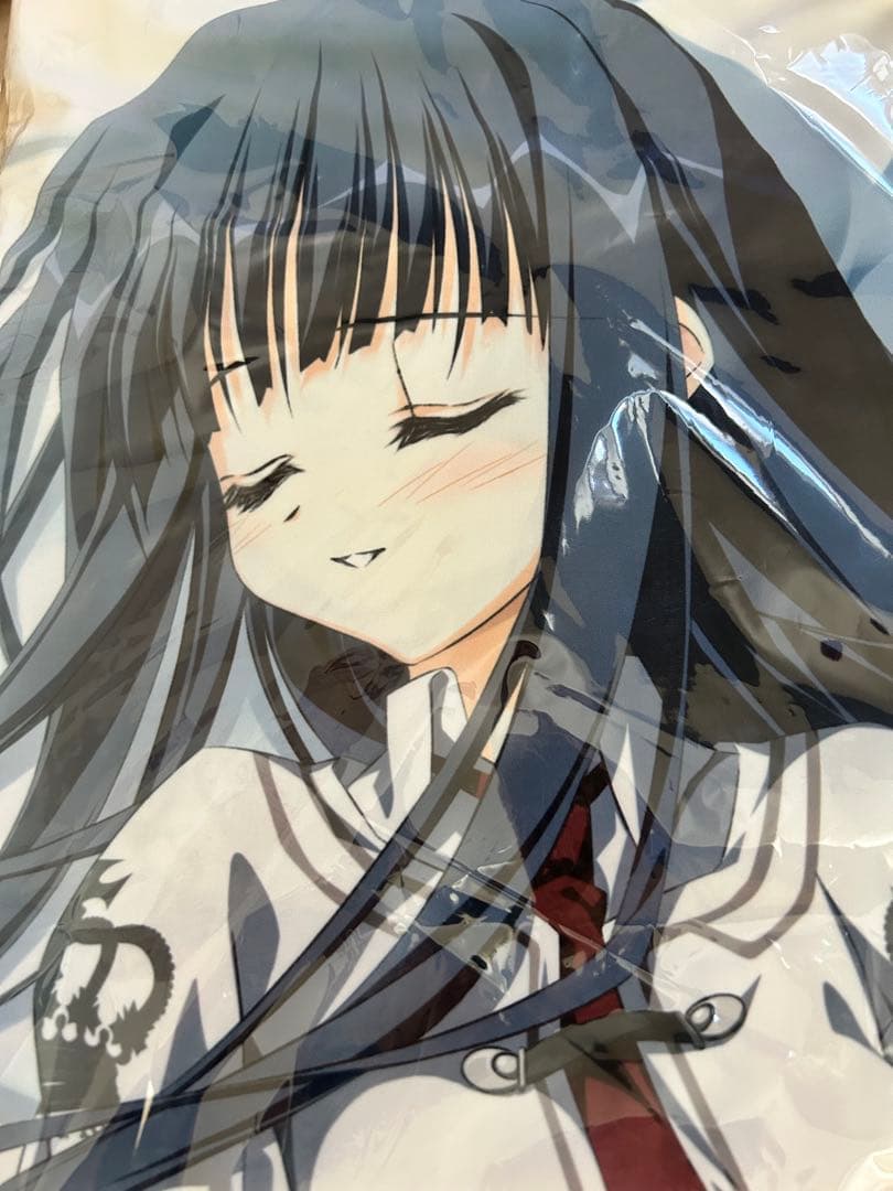 【限定価格】高島ざくろ 素晴らしき日々 抱き枕カバー【旧版】