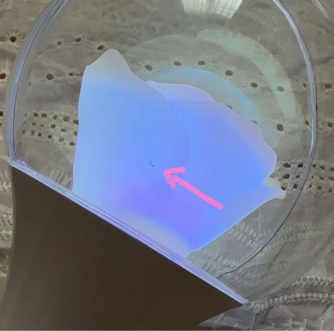 Ado 喜劇 ローズペンライト カムパネルラ