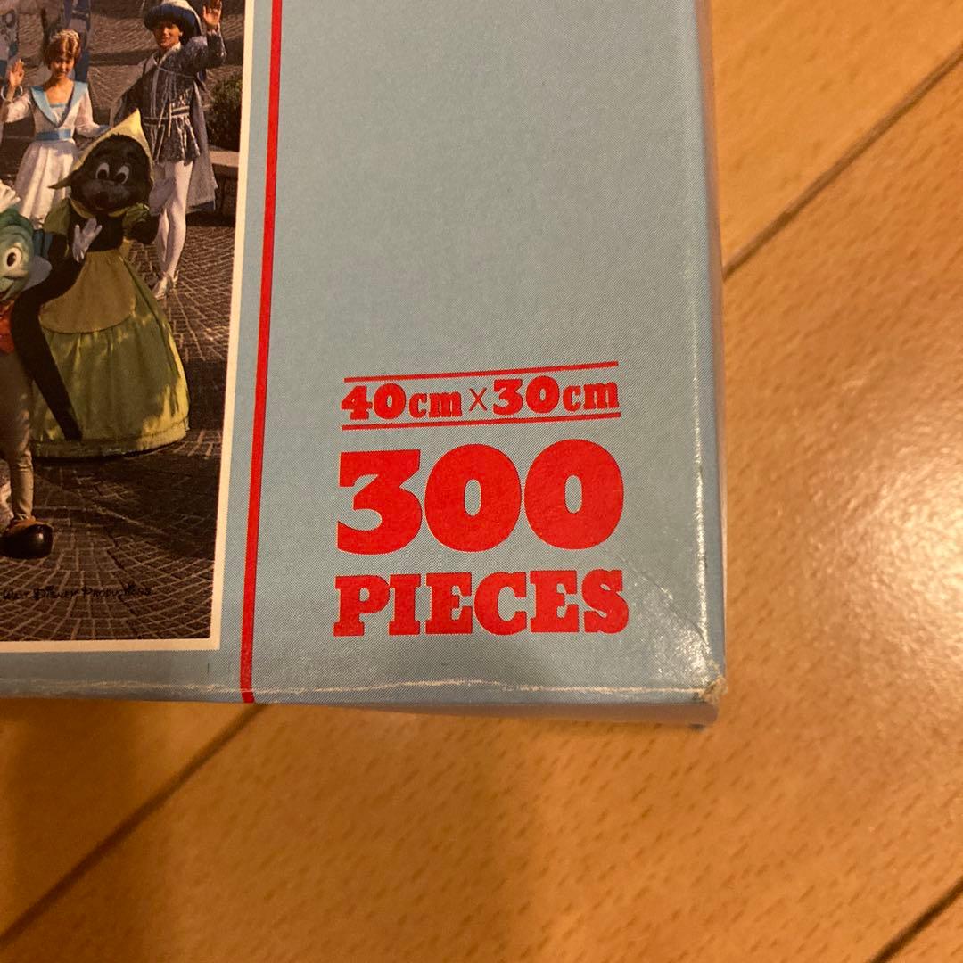 TDLジグソーパズル　300ピース