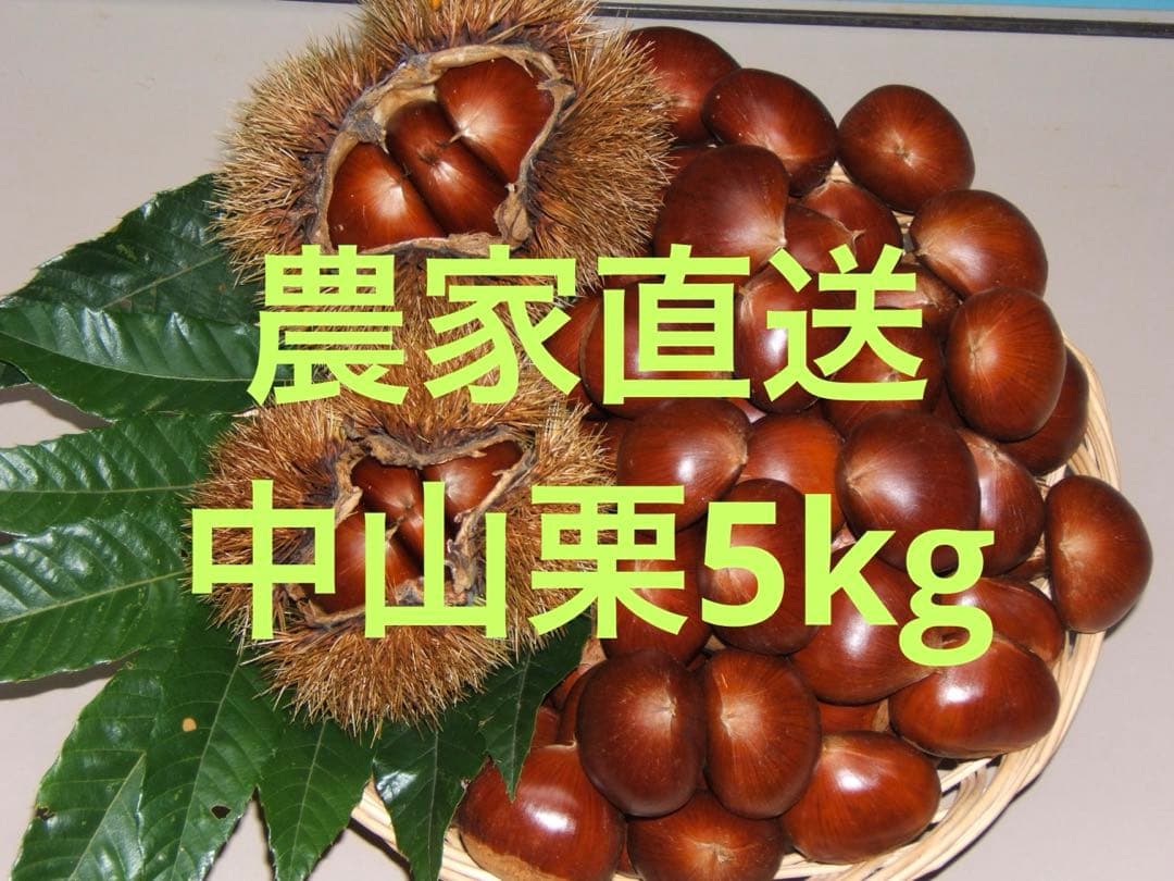 幻の栗⭐︎中山栗2L~4L混合5kgクール便（匿名不可）農家直送2025-018