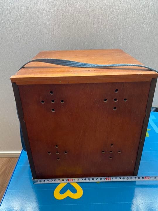 鳥籠　とりかご　お出かけ用　超希少