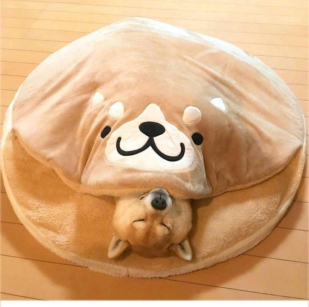 10点ペット ベッド 柴犬ハウス 犬ドーム型   マット付き ふわふわ 柔ら(