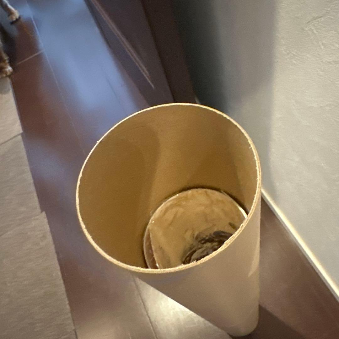 会場限定 Guns N' Roses ガンズアンドローゼズ ポスター グッズ