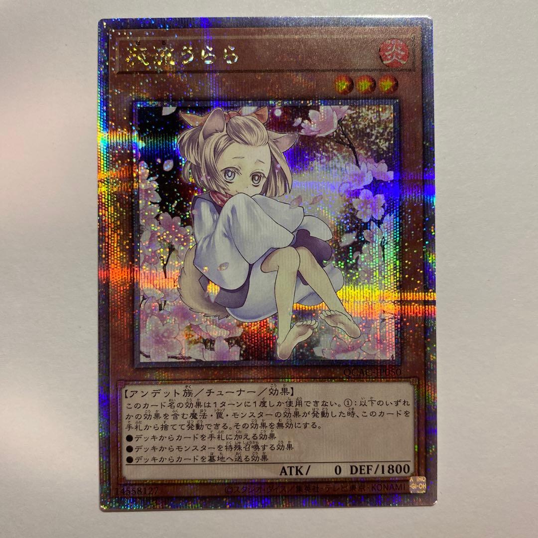 遊戯王　灰流うらら　25thシークレットレア　クオシク　1枚　絵違い　はるうらら